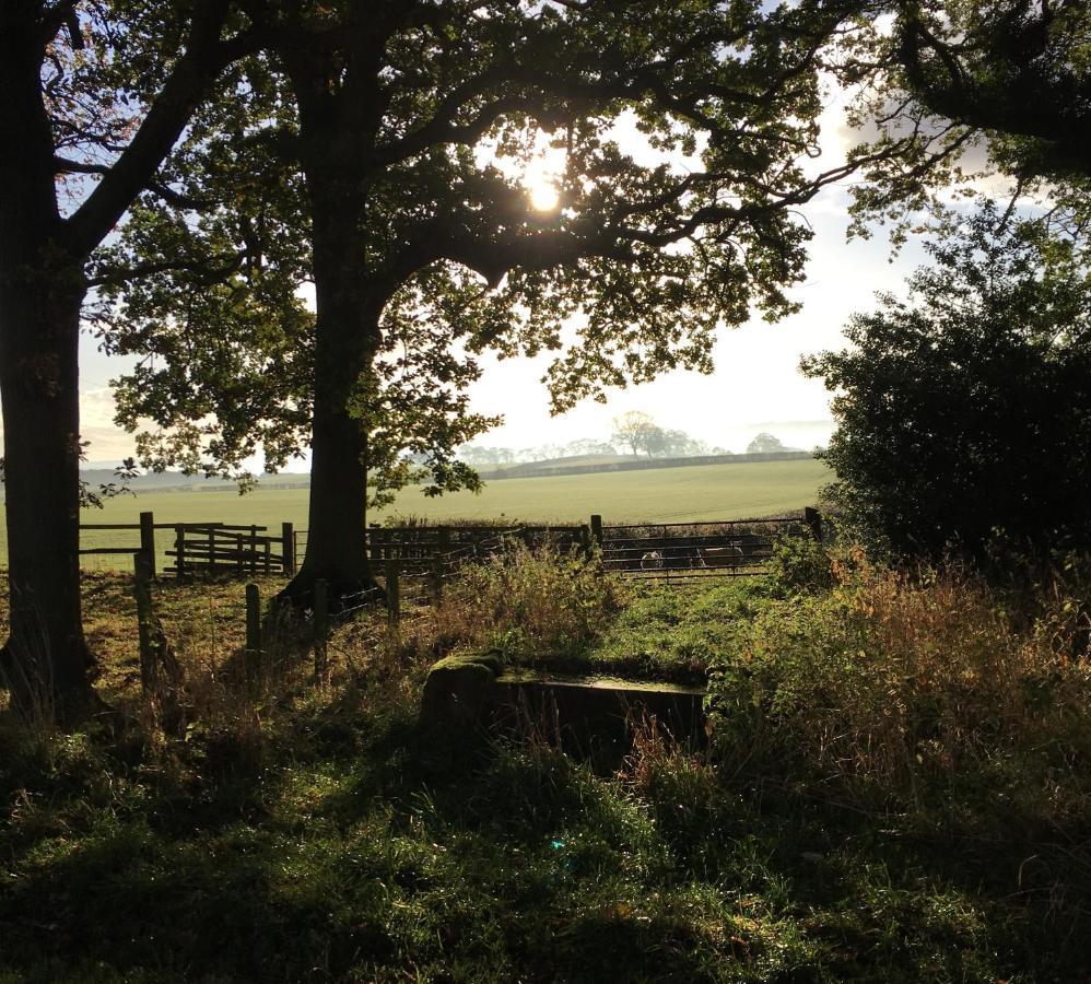 Hayloft Cottage Durham Esterno foto